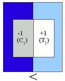 orientation selectivity example 1