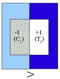 orientation selectivity example 2
